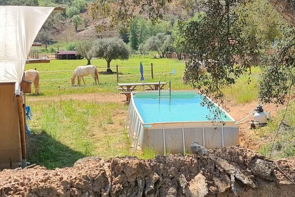 Glamping Lodge Boa Vista