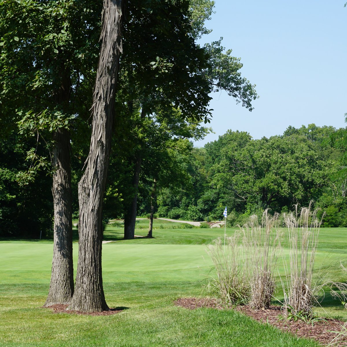 RED TAIL RUN GOLF CLUB (Decatur) Ce qu'il faut savoir