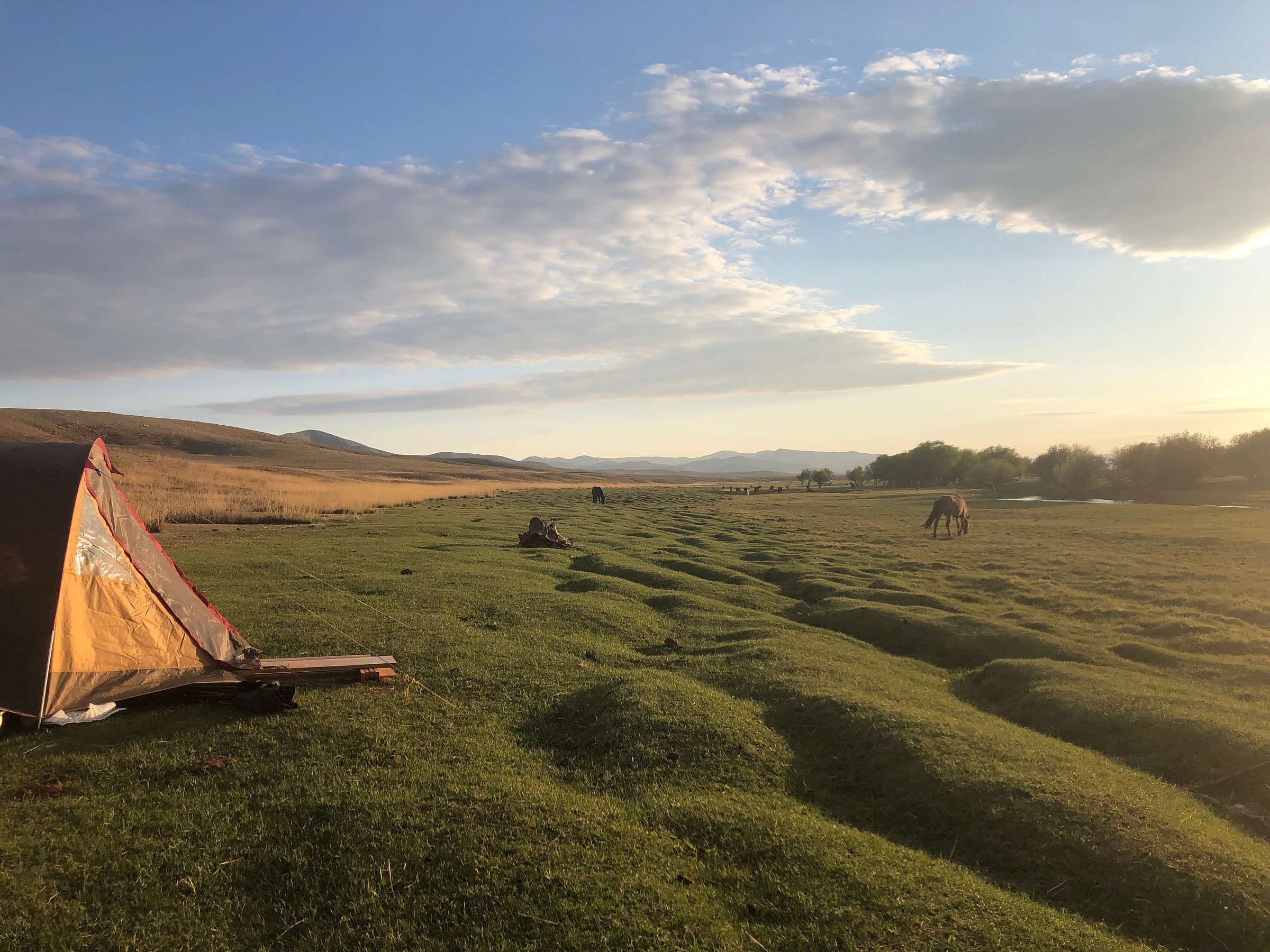 view mongolia travel