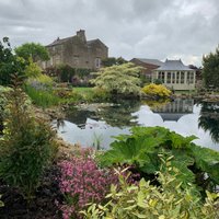 Thornton Hall Gardens (Darlington) - All You Need to Know BEFORE You Go