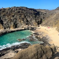 2023 Oahu Circle Island - North Shore Snorkeling Tour (Dole & Temple)