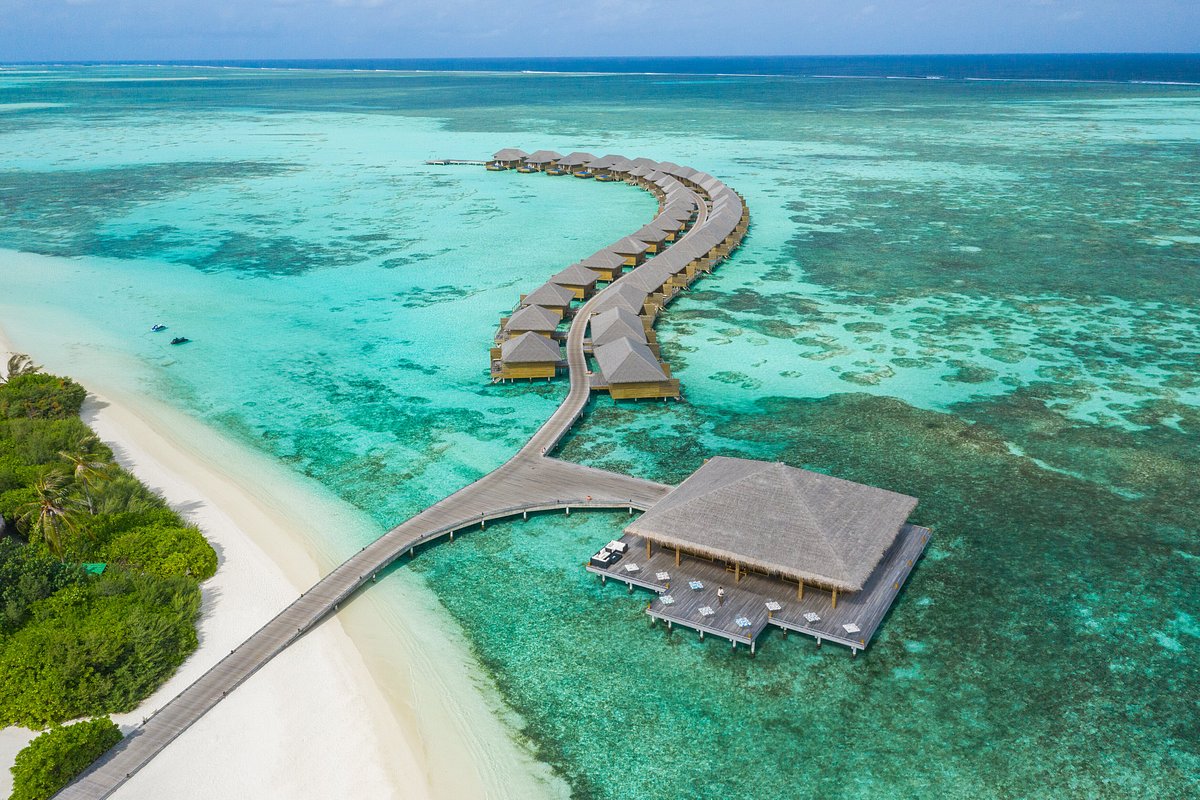 Cocoon Maldives, отель в г. Hurawalhi