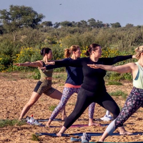 Yoga Lessons — Fine Arts & Yoga