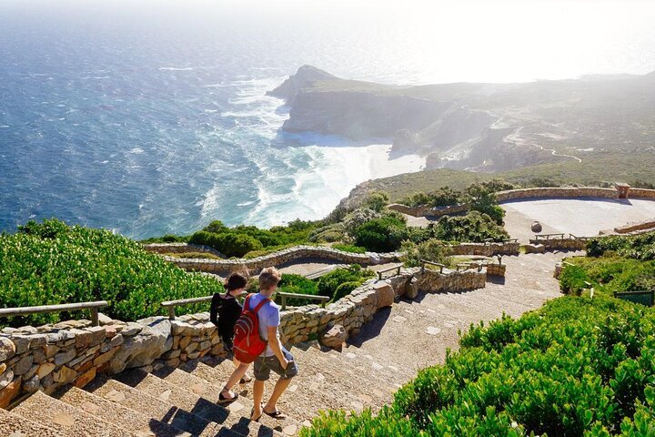 THE 10 BEST Things To Do In Cape Town - 2024 (with Photos) - Tripadvisor