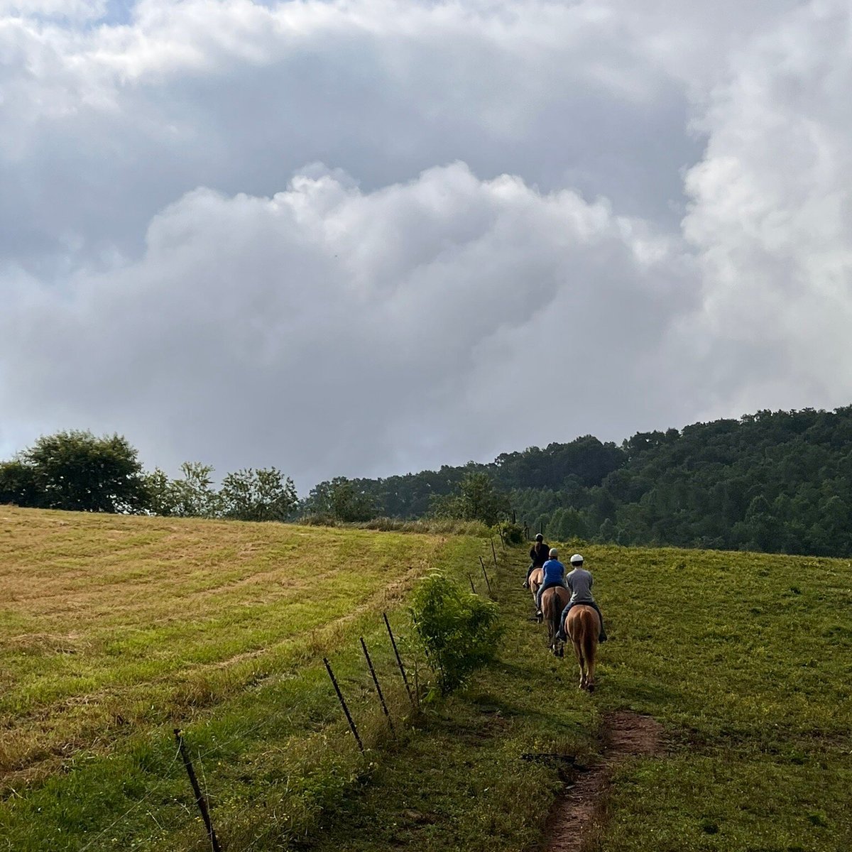 Cowgirl Up Stables (Cherry Log) - All You Need to Know BEFORE You Go