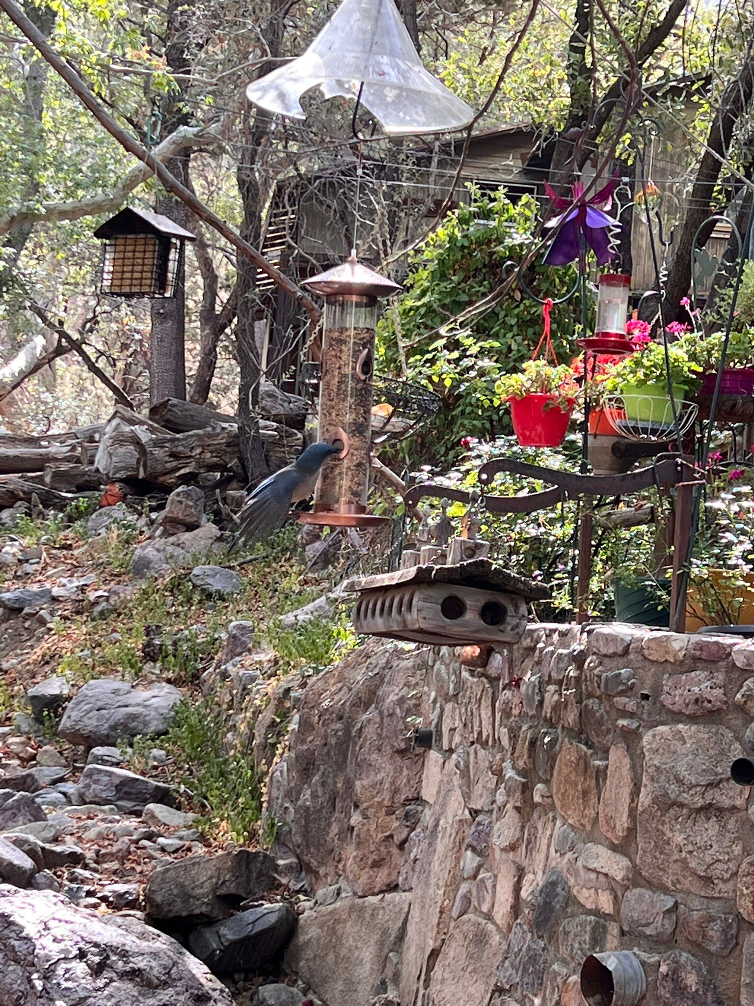 MADERA KUBO B&B (Madera Canyon, AZ) - Foto's En Reviews - Tripadvisor