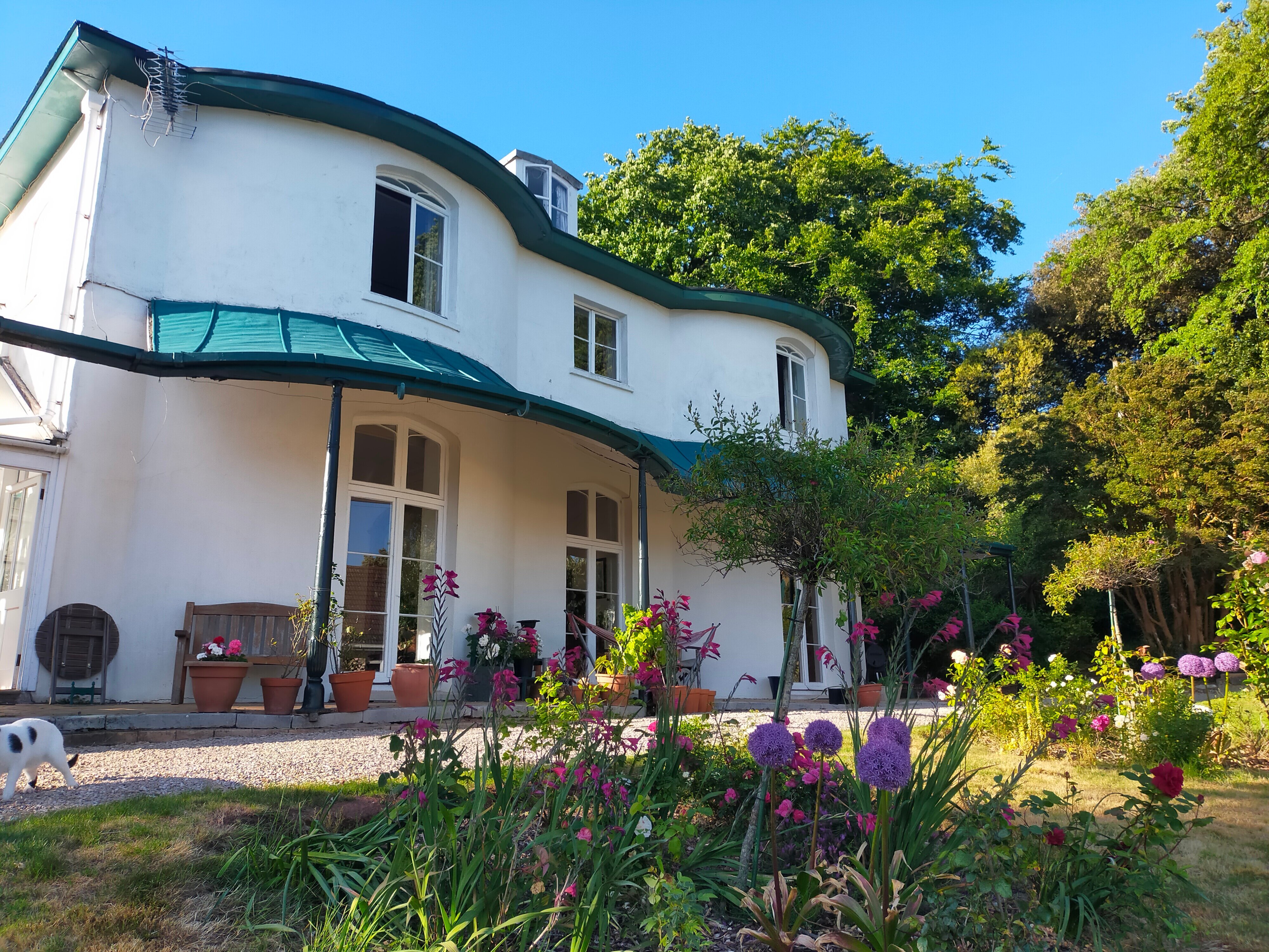 WOODLANDS B AND B, TEIGNMOUTH (Devon) - B&B Reviews & Photos - Tripadvisor