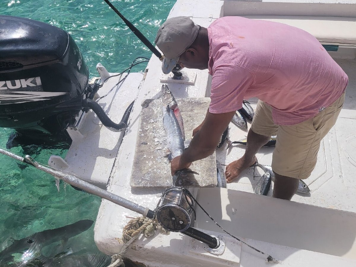 Capt Herman's East Side Fish Fry Charters (East End) All You Need to