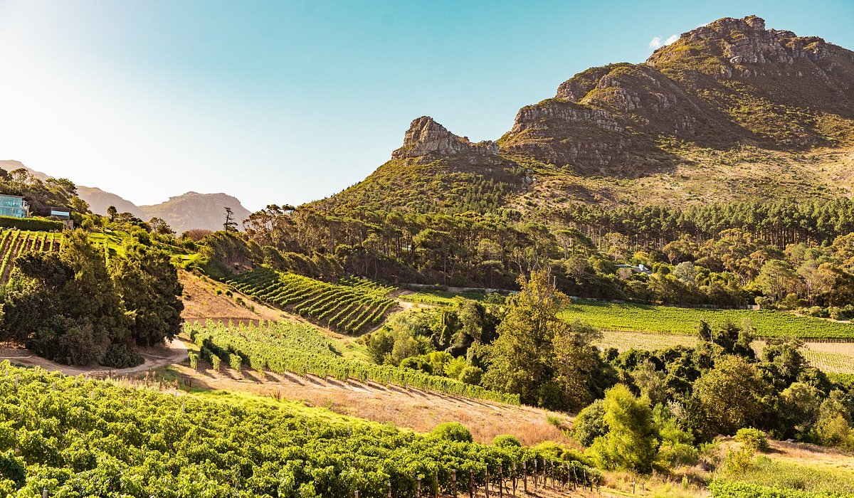 Cape Town Wine Country: A Guide To South Africa\'s Vineyards - Wine Travel