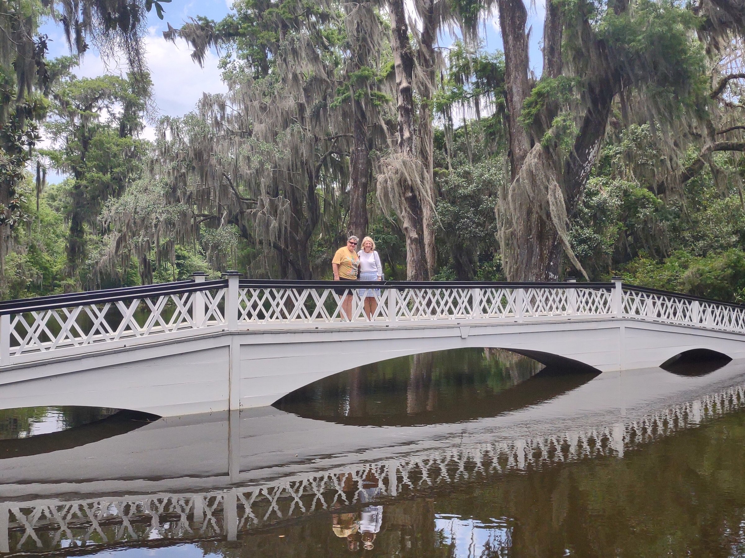 gray line tour charleston