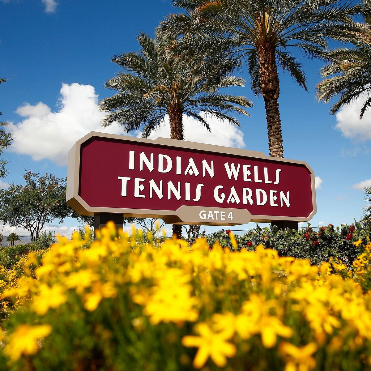 Indian Wells Tennis Garden Lo que se debe saber antes de viajar