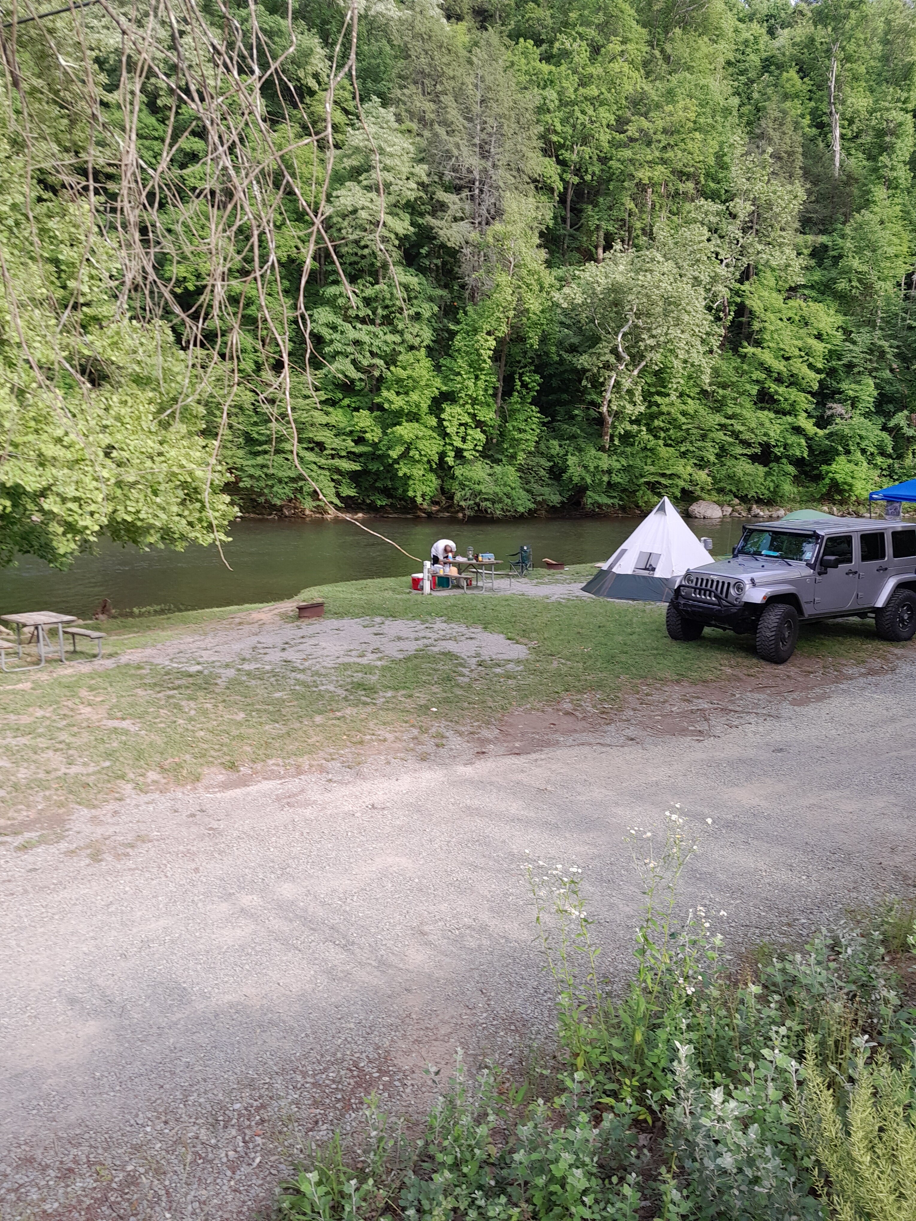 Virginia creeper clearance campground