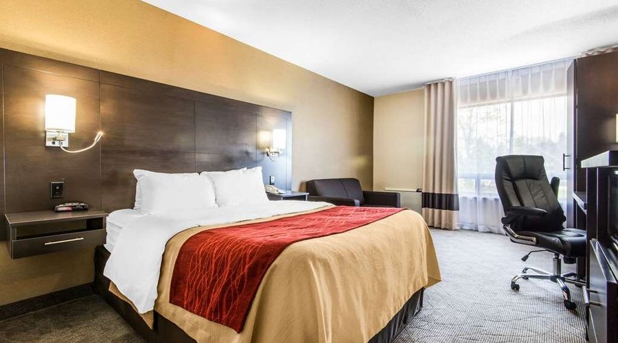 Guest room with queen bed(s)