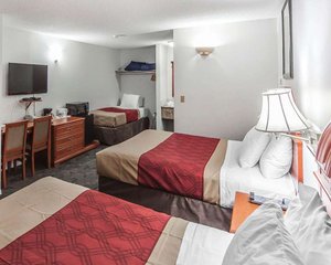 Room & Suite