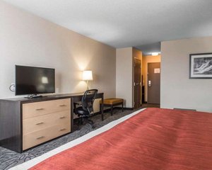 Room & Suite
