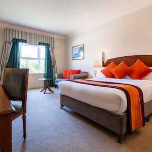 Guest room with king bed(s)