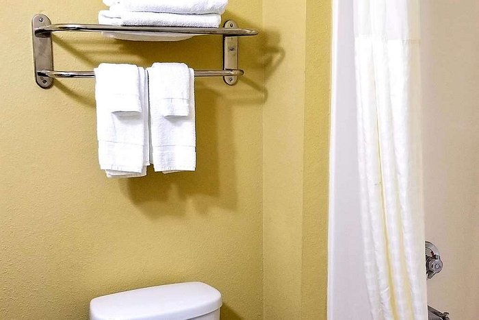 FUNGUS IN THE SHOWER?! - Picture of Quality Inn & Suites, College Park -  Tripadvisor