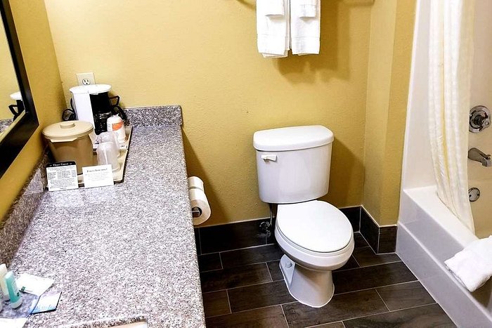 FUNGUS IN THE SHOWER?! - Picture of Quality Inn & Suites, College Park -  Tripadvisor