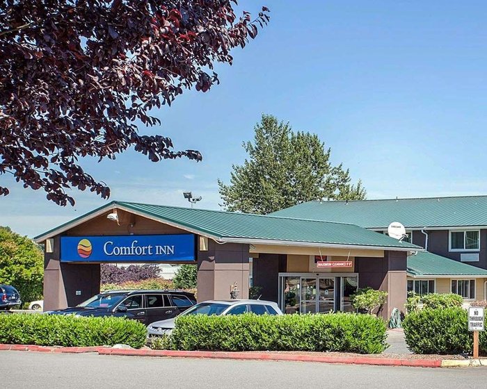 COMFORT INN KIRKLAND - Updated 2024 Prices & Hotel Reviews (WA)