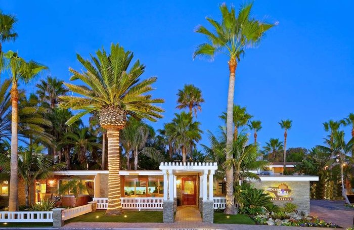 California Vibes, aesthetic, america, beach, la, night, palms