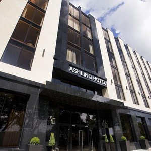Ashling Hotel Dublin in Dublin, image may contain: City, Urban, Office Building, Plant