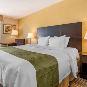 Guest room with king bed(s)