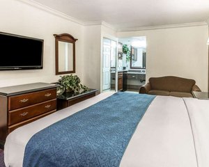 Room & Suite