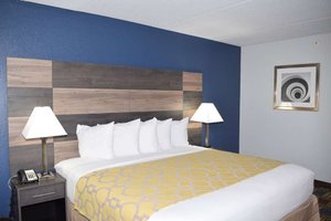 Room & Suite
