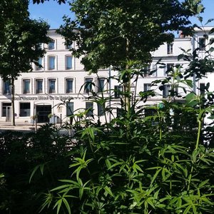 Façade de l'hôtel