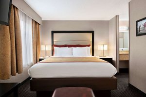 Phòng & Phòng Suite