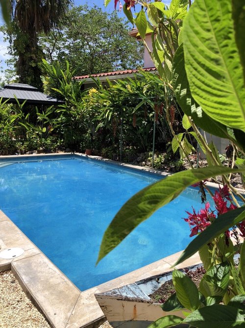 THE INN AT TWIN PALMS - Updated 2024 B&B Reviews (Belize/Belmopan)