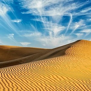 Sand Dunes in Rajasthan