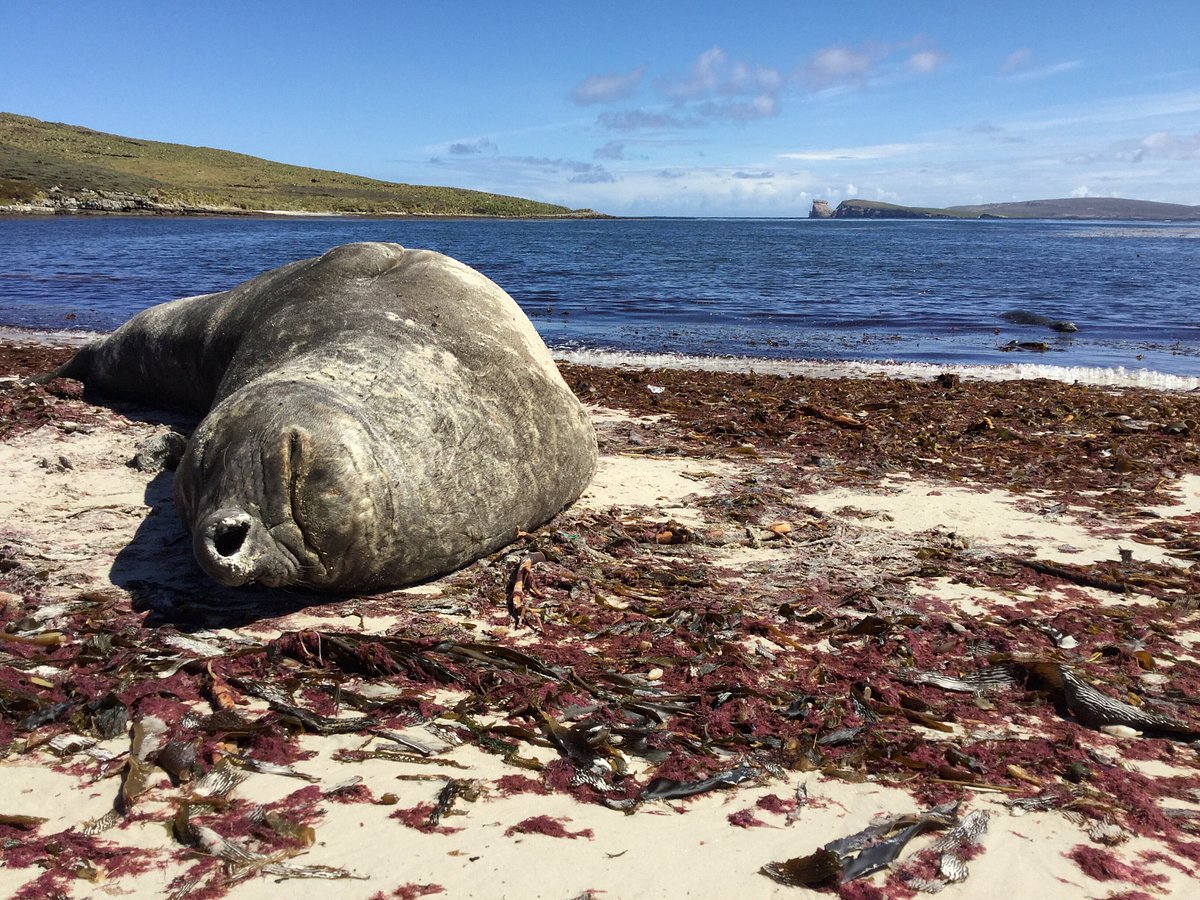 kelper tours falkland islands