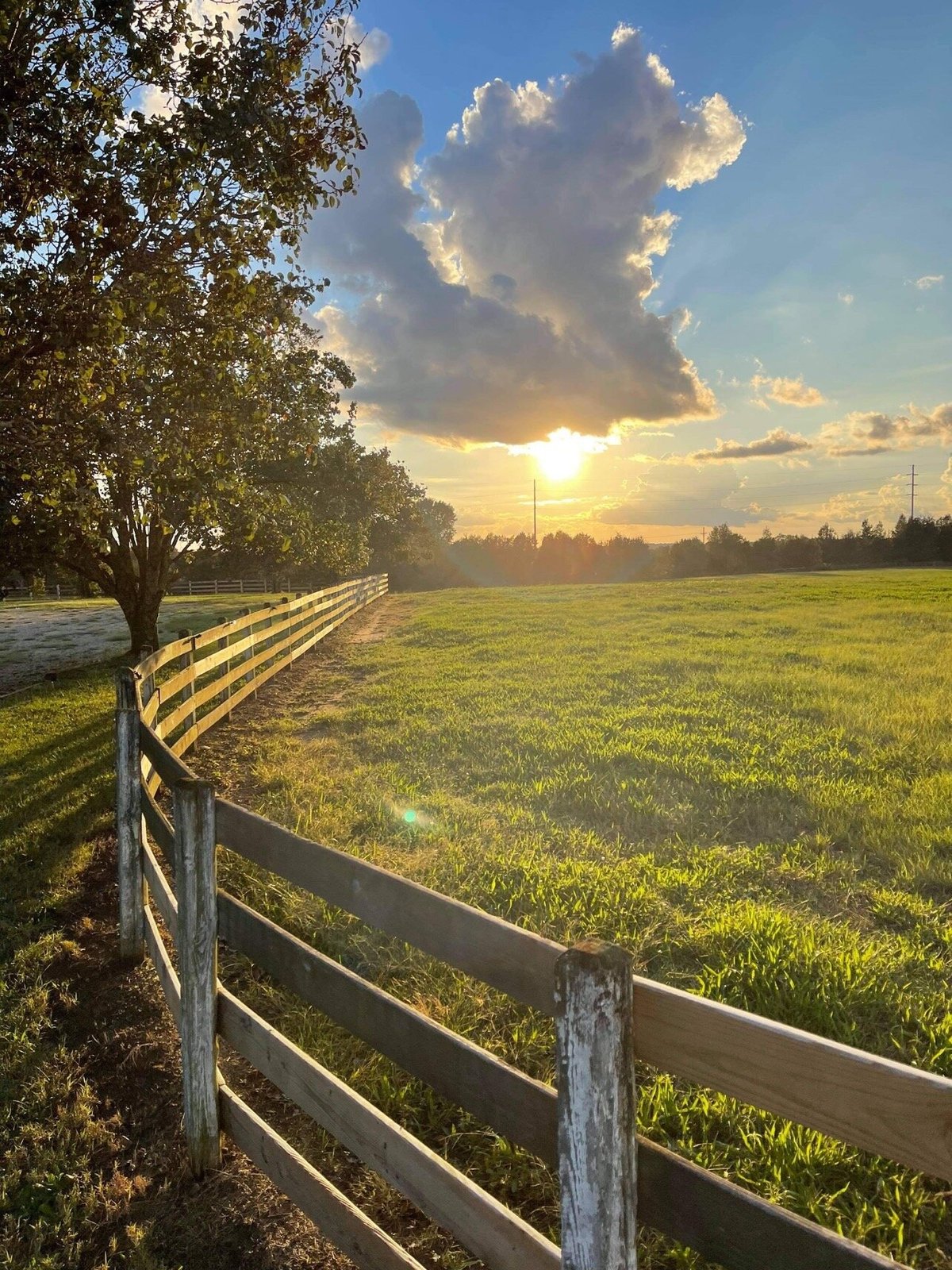 Liberty Stables (Social Circle, GA): Address, Phone Number - Tripadvisor