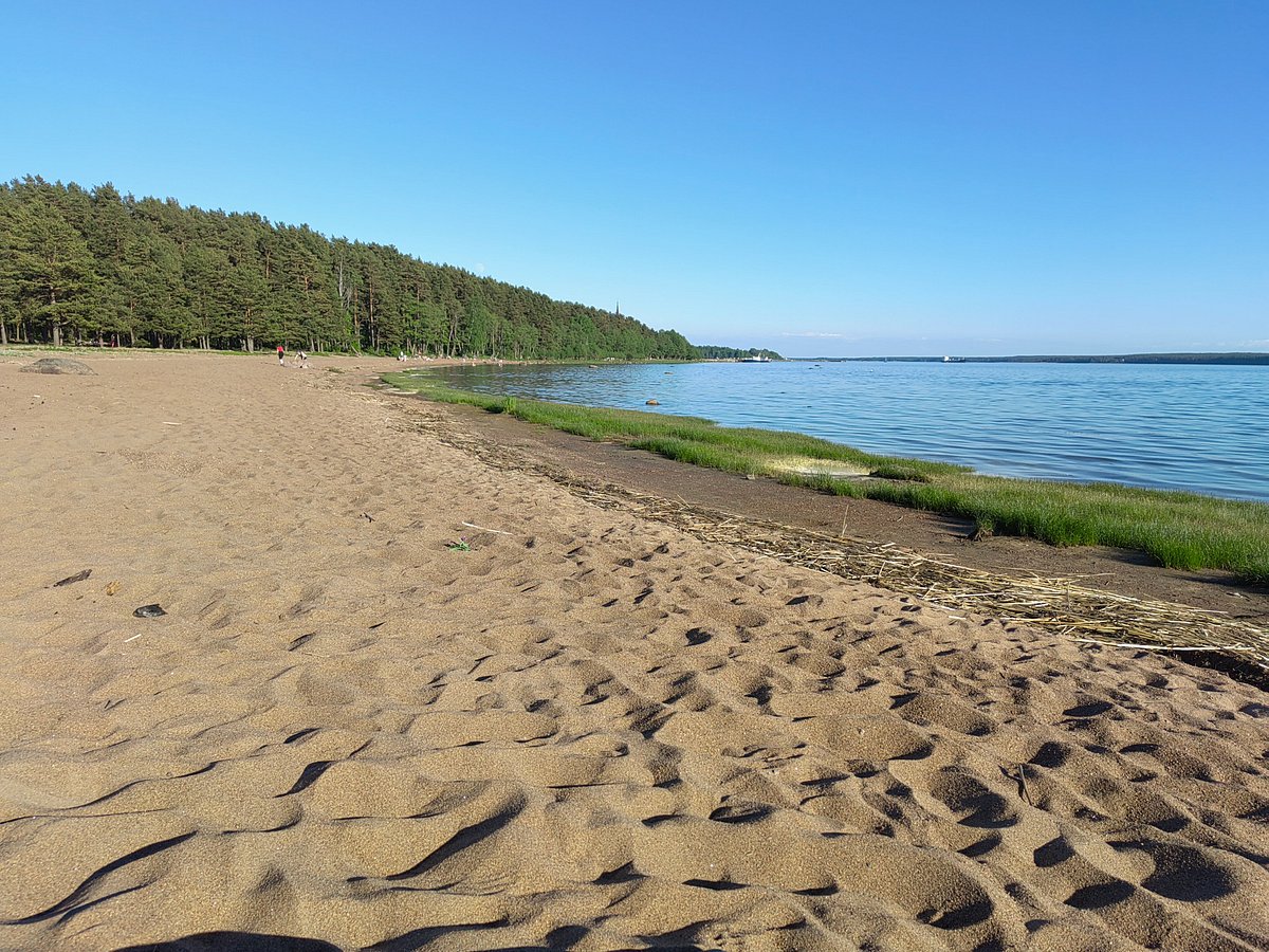 Чистый воздух и комфорт в сосновом лесу у моря - отзыв о Дом у Моря,  Приморск, Россия - Tripadvisor