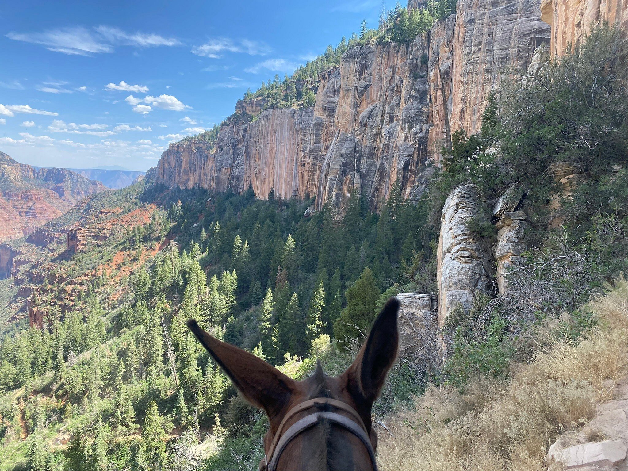 grand canyon tour rides