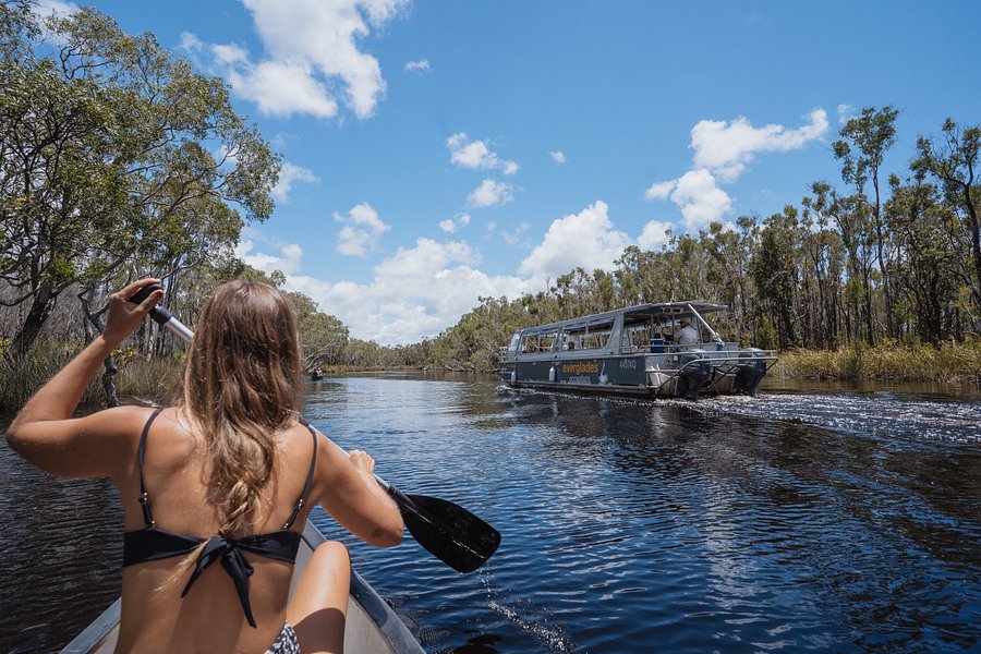 noosa everglades cruise review