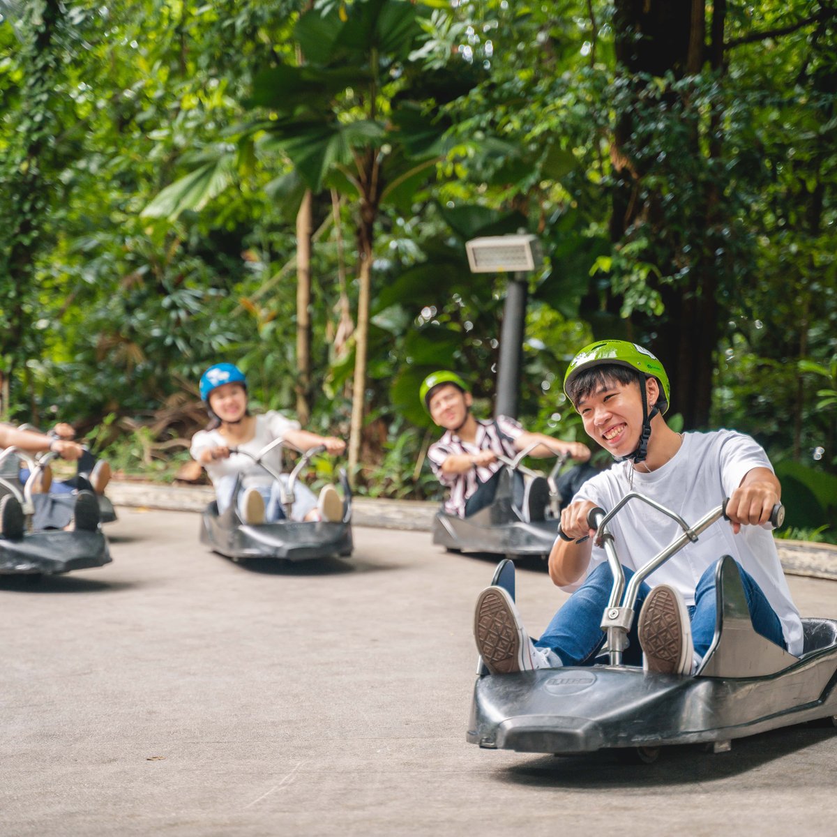 Luge Tracks  Skyline Luge Singapore