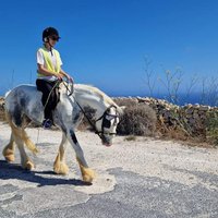 GOZO STABLES HORSE-RIDING (2024) All You Need to Know BEFORE You Go ...