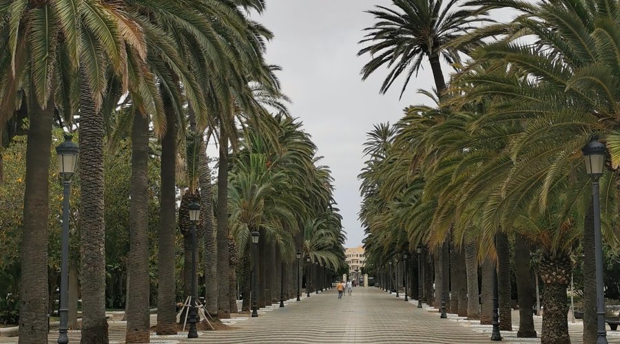 Paseo principal del Parque Hernández.