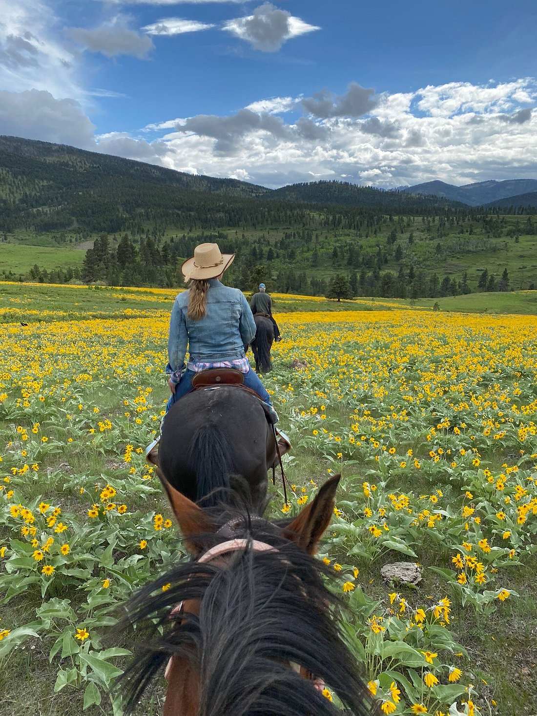 BLACKTAIL RANCH - Reviews (Wolf Creek, MT) - Tripadvisor