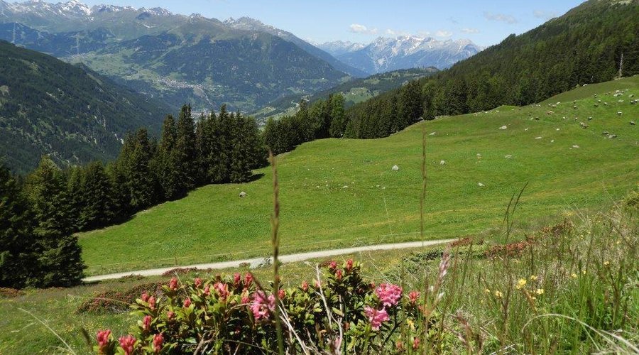 Blick von der Falkaunsalm in Richtung Oberinntal