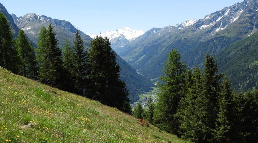 Blick von der Falkaunsalm in Richtung Kaunertal, Gepatschferner, Kaunergrat