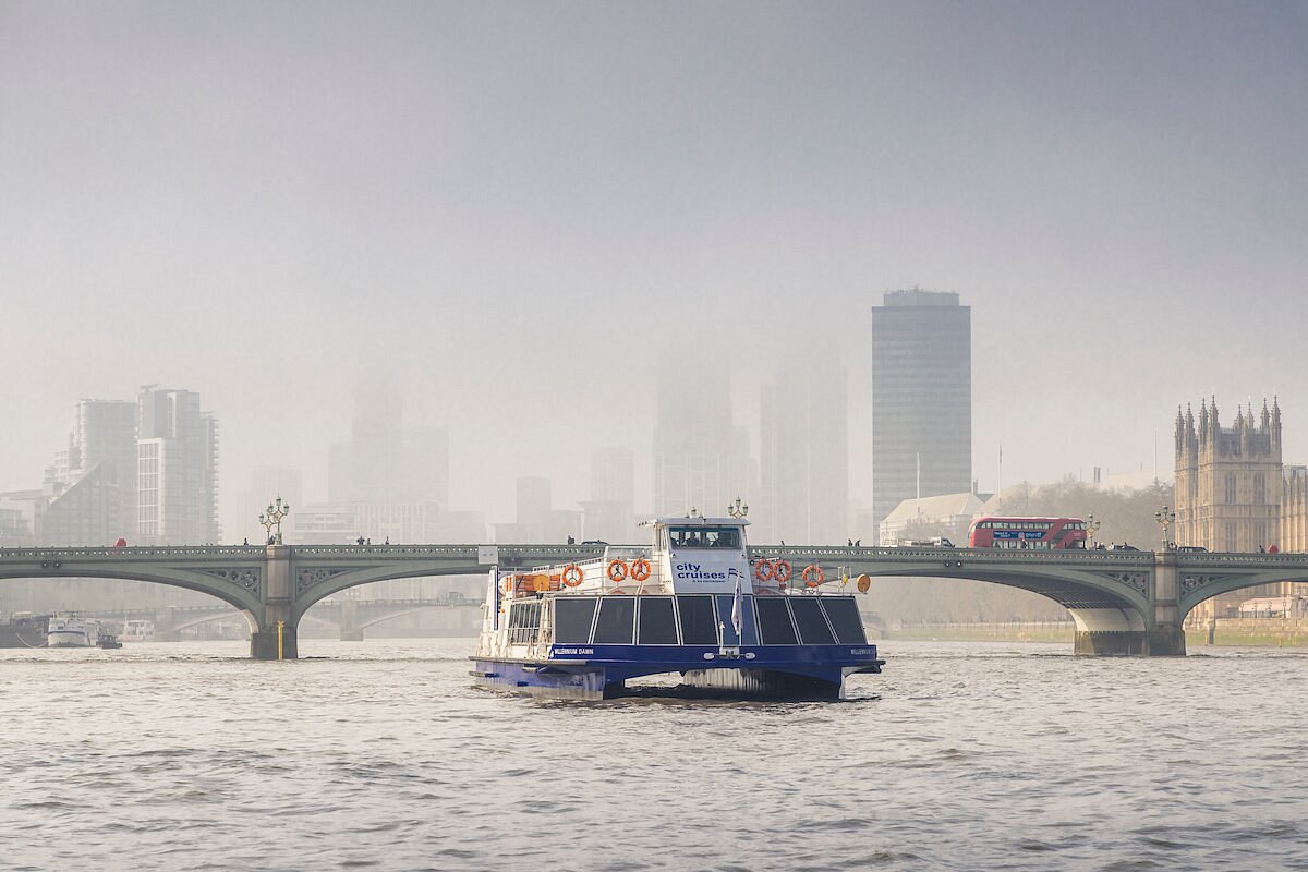 City Cruises - All You Need to Know BEFORE You Go (2024)