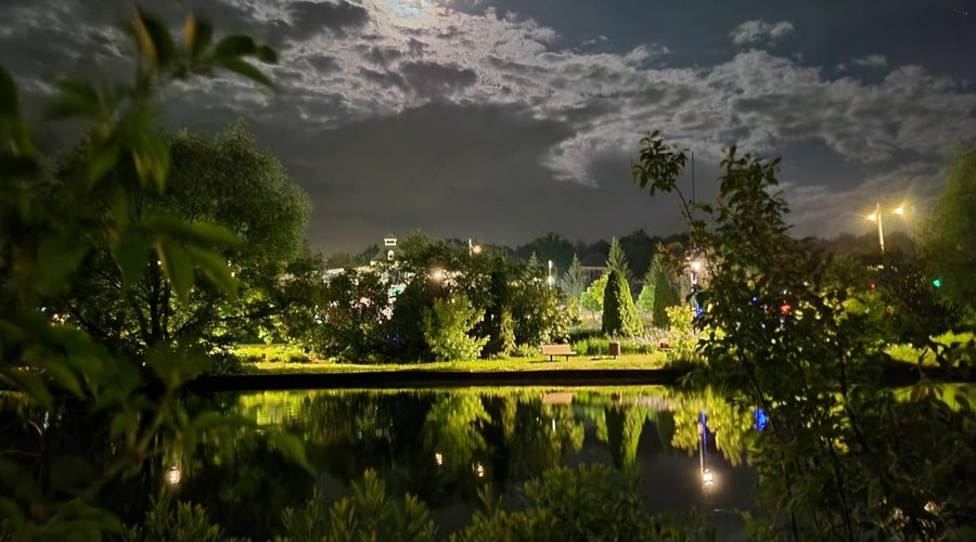 View from the backyard