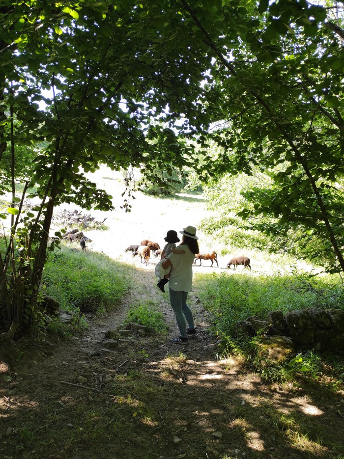 Le Hameau de Robert (Boucieu-le-Roi, France) - tarifs 2023