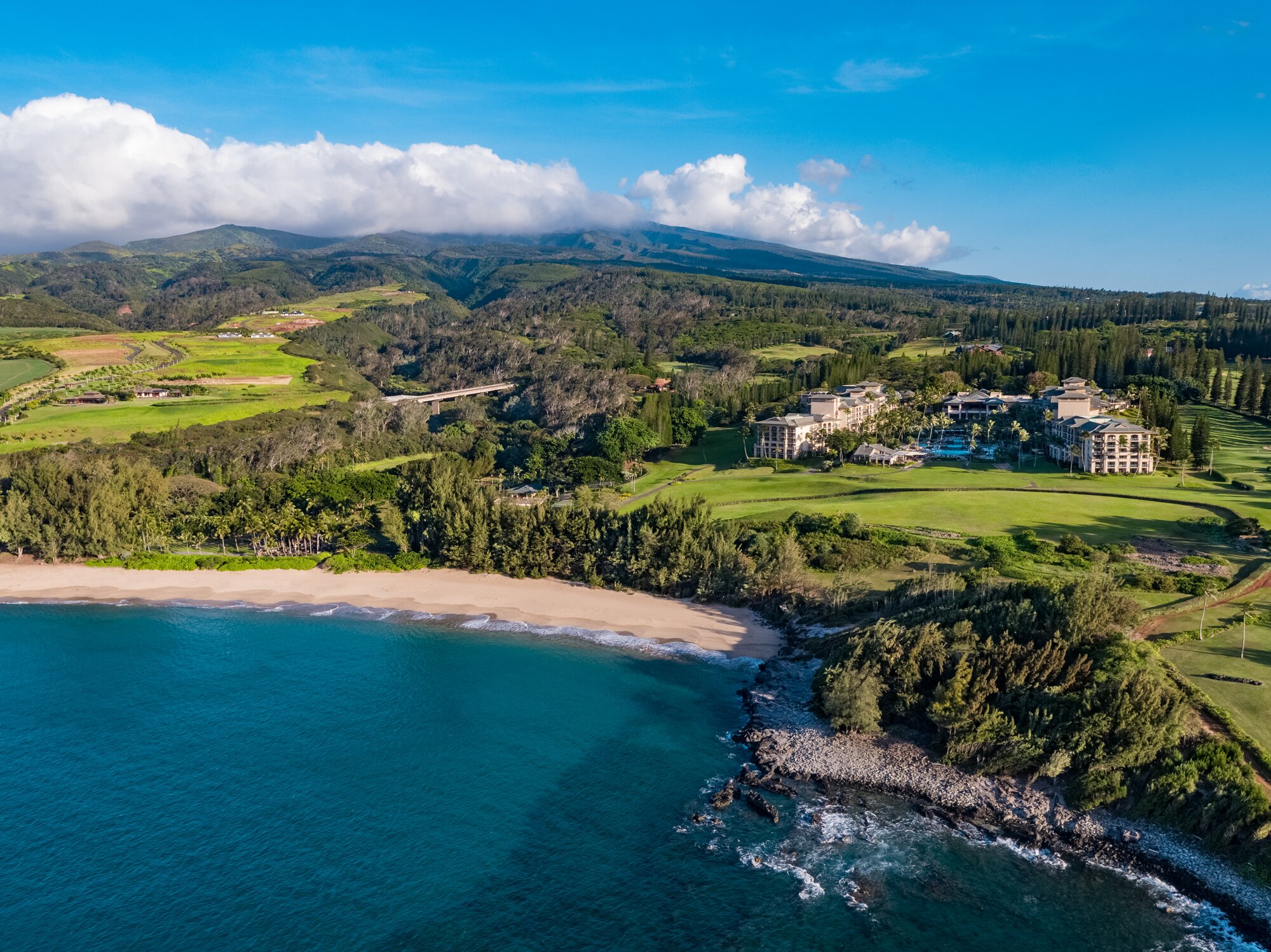 ザ・リッツ・カールトン カパルア (The Ritz-Carlton Maui Kapalua