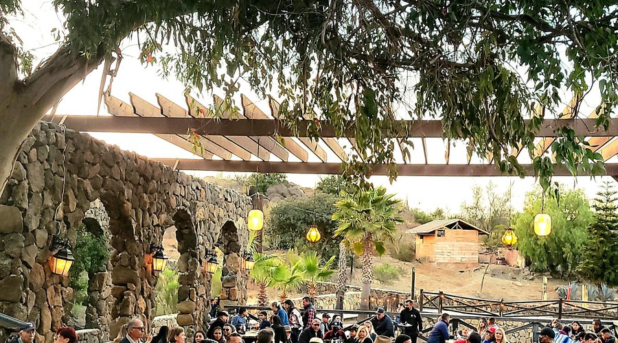 Live music in english and spanish 