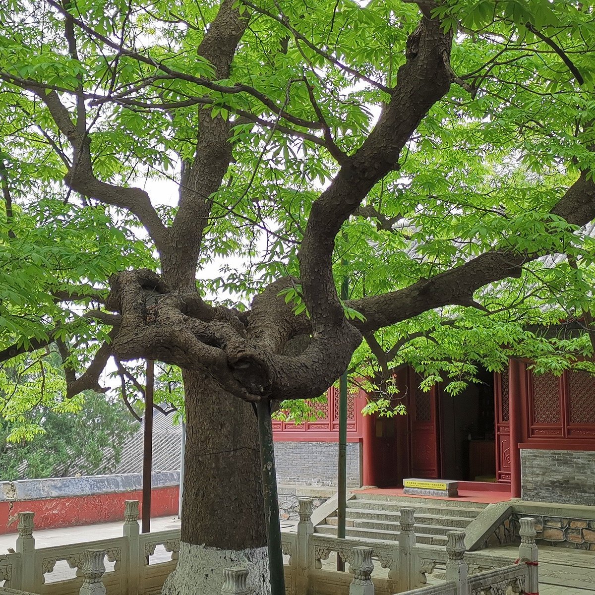 Happy Knowledge Beijing Tours China Address Tripadvisor happy-knowledge-beijing-tours-china-address-tripadvisor