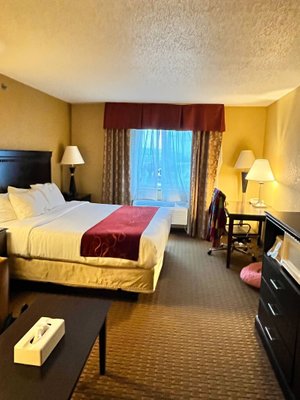 Comfort Suites Wisconsin Dells Area $88 ($̶1̶0̶5̶) - Prices & Hotel 